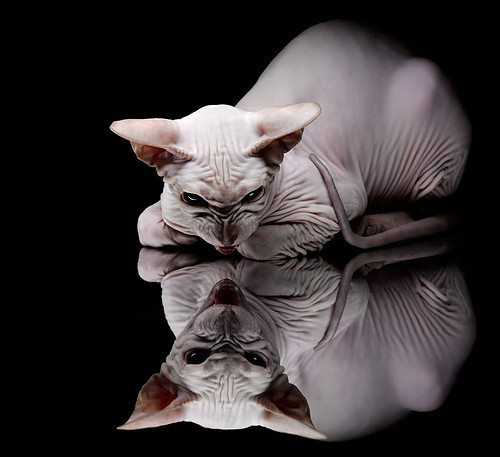 开云平台-球场上的国家德比，从西甲到CBA，竞技体育的焦点之战哲学